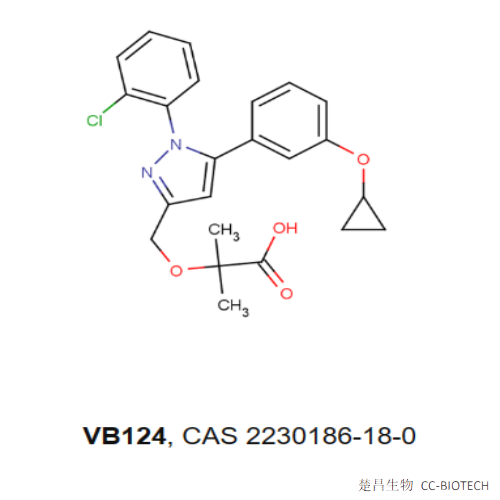 VB124